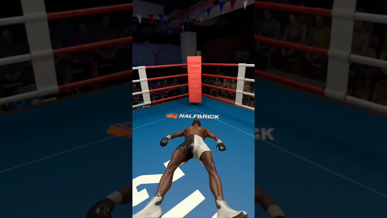 Обложка игры The Thrill of the Fight 2